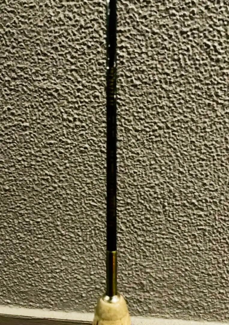 ロッド IVY LINE Synchronizer EVOlution 5'10\"