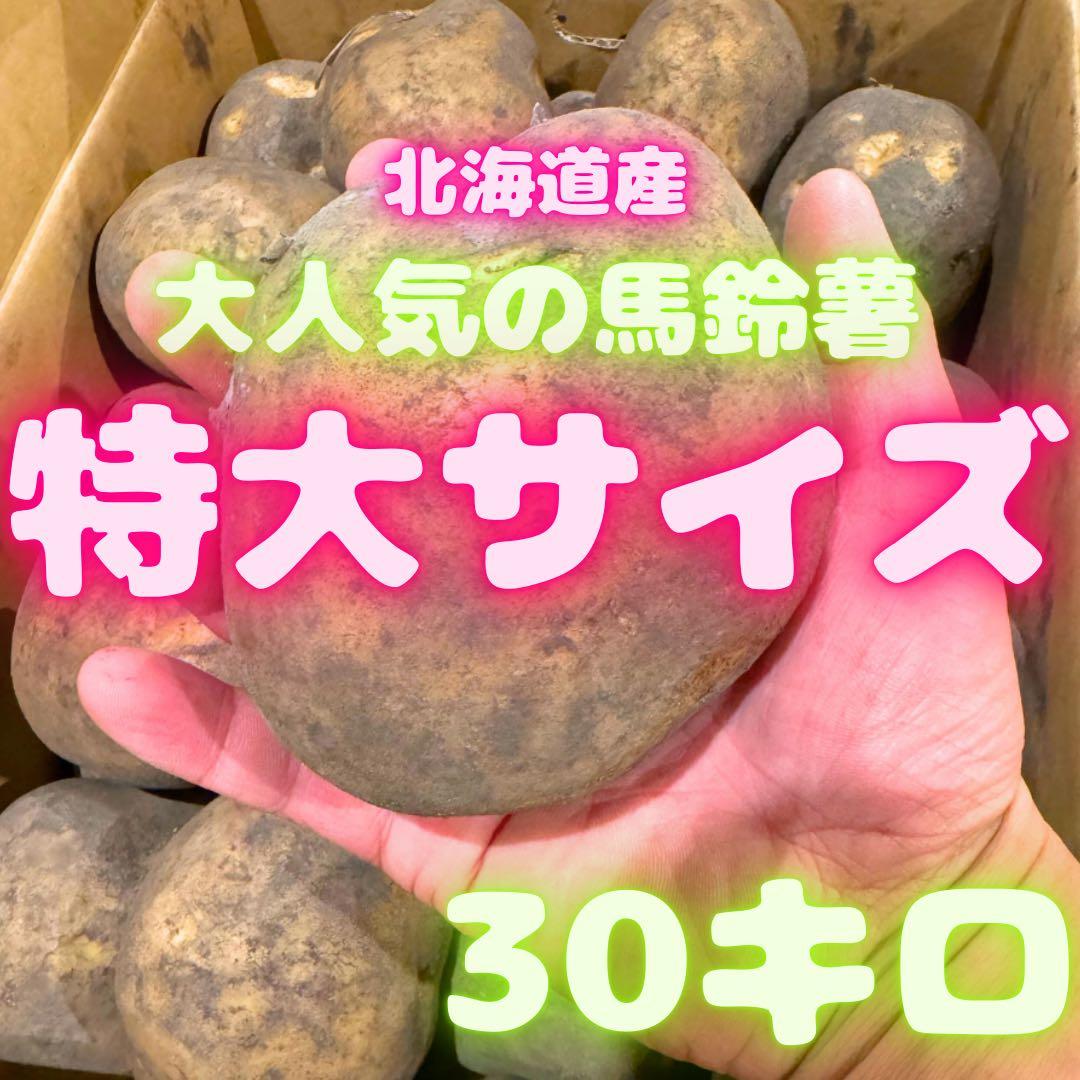 ジャンボサイズ　30kg じゃがいも　26