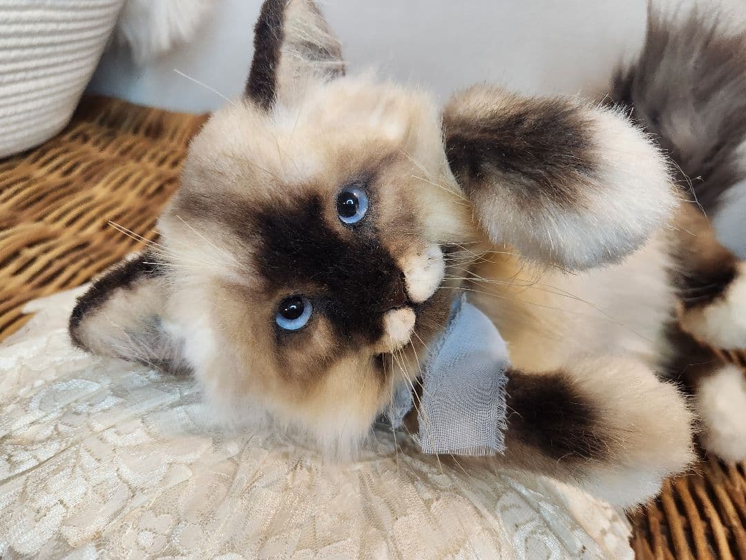 猫 海外作家 リアル アートドール ブライス テディベア