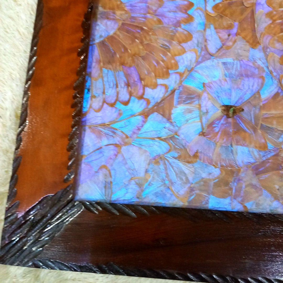 希少 羽根細工 モルフォ蝶◆蝶羽画 絵画 木製額