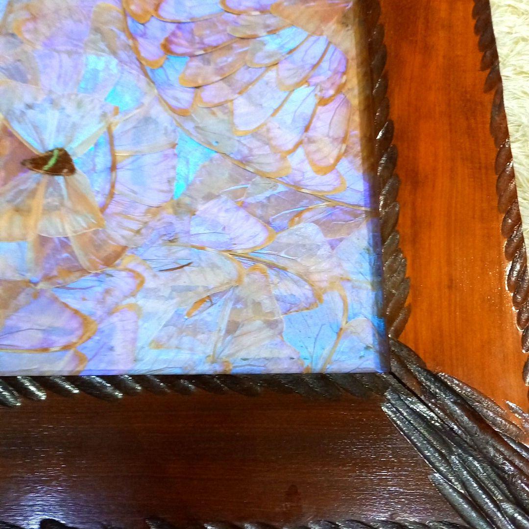 希少 羽根細工 モルフォ蝶◆蝶羽画 絵画 木製額