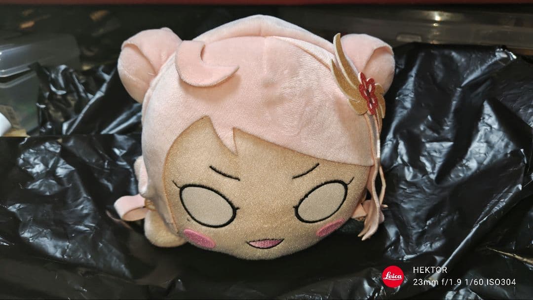 ラブライブ 虹ヶ咲 鐘嵐珠 Mサイズ寝そべりぬいぐるみ Queendom