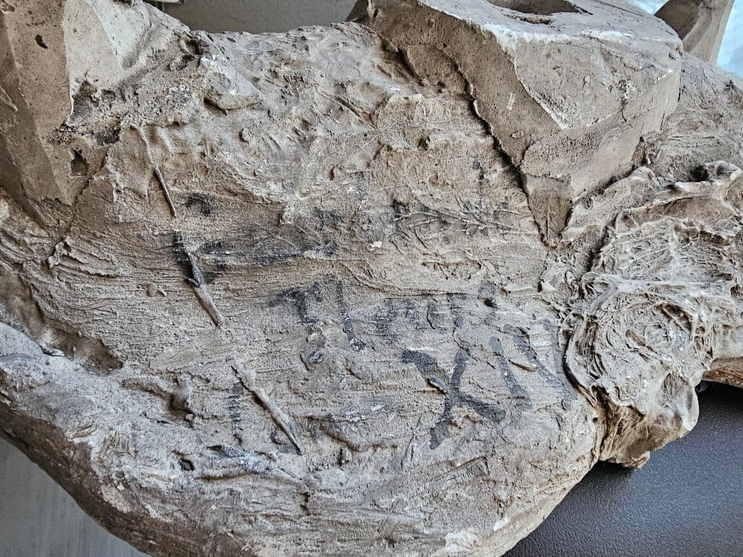 フランスの石膏型の蓋部分 アンティーク ヴィンテージ オブジェ シャビー