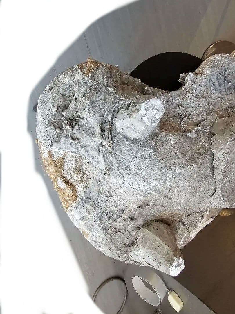 フランスの石膏型の蓋部分 アンティーク ヴィンテージ オブジェ シャビー