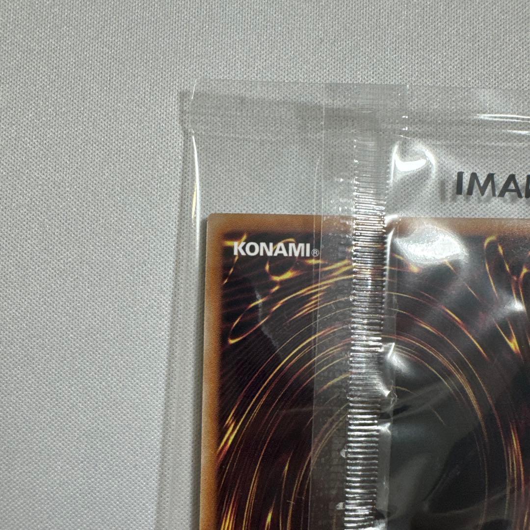 遊戯王OCG Dragon of Illumination 日本選手権プロモ