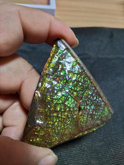 アンモライト 標本 両面 アンモナイト ドラゴンスキン おまけ