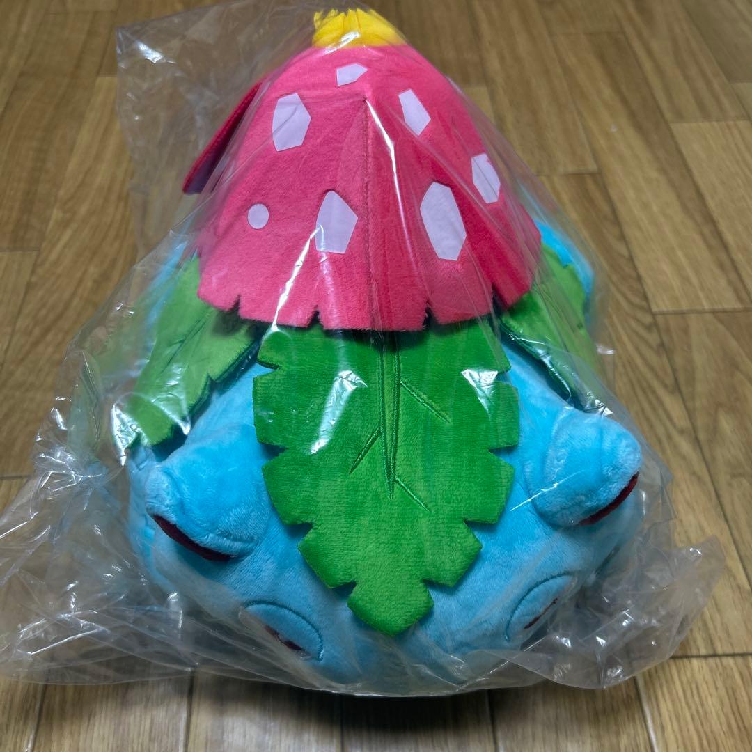 ポケモン BIG 大サイズ ぬいぐるみセット リザードン カメックス フシギバナ