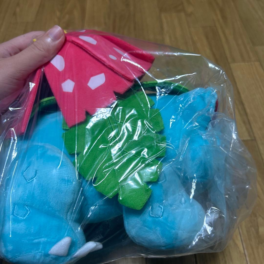 ポケモン BIG 大サイズ ぬいぐるみセット リザードン カメックス フシギバナ