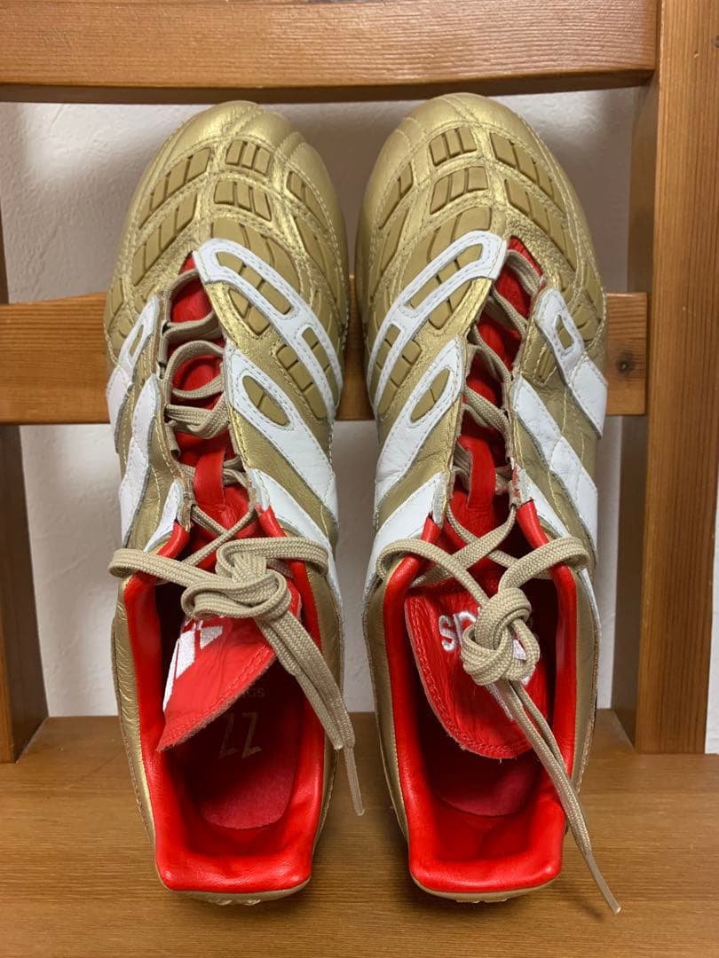 プレデターアクセレレイター　PredatorAccelerator　26cm新品