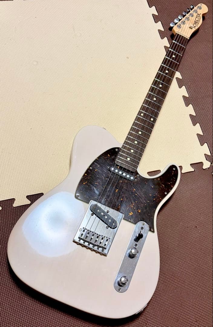 SCHECTER / JAPAN / PA-LS/TK 本家仕様