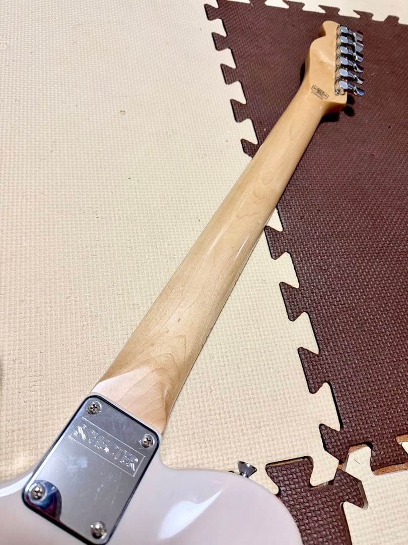 SCHECTER / JAPAN / PA-LS/TK 本家仕様