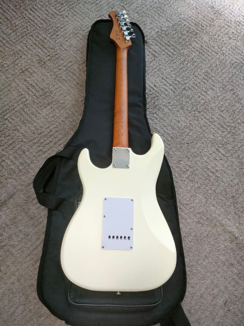 Bacchus SGS-ASH RSM　フレット90%以上 グローバルシリーズ