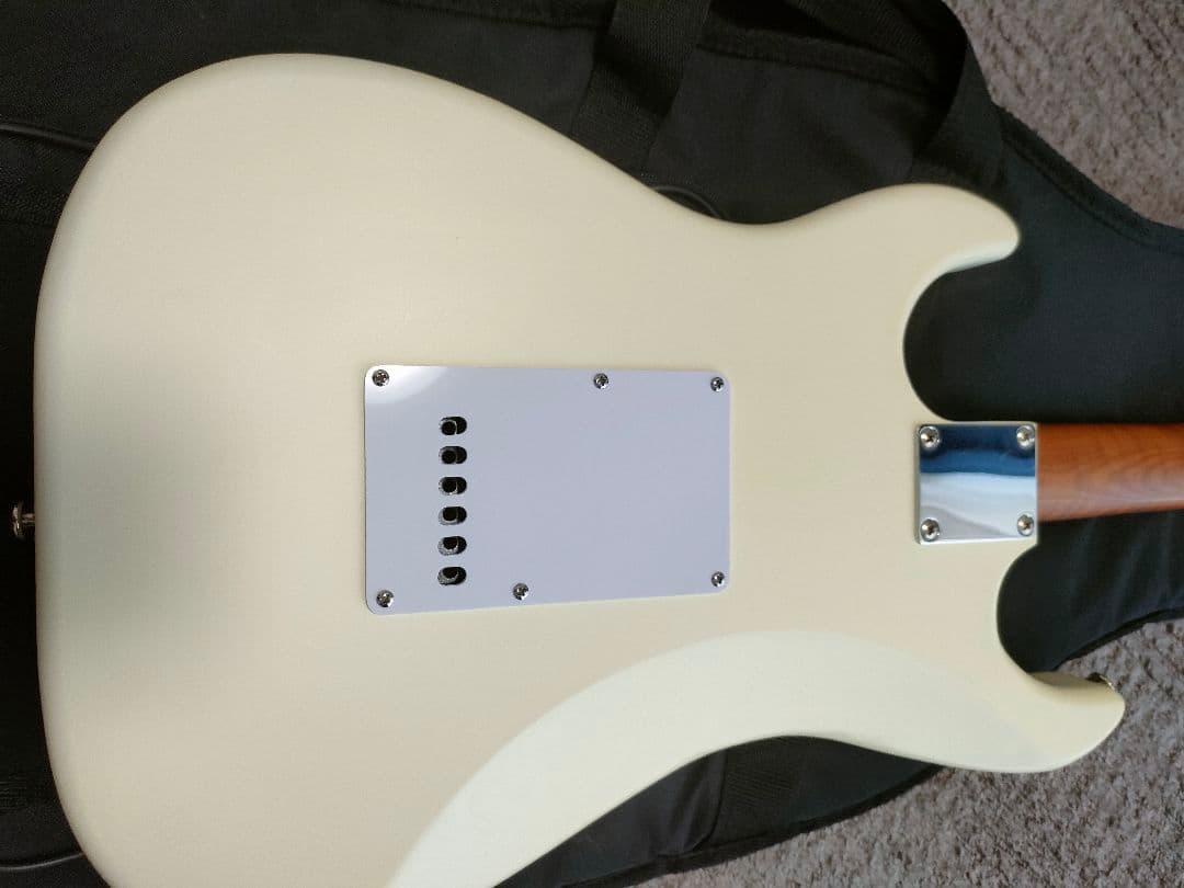 Bacchus SGS-ASH RSM　フレット90%以上 グローバルシリーズ