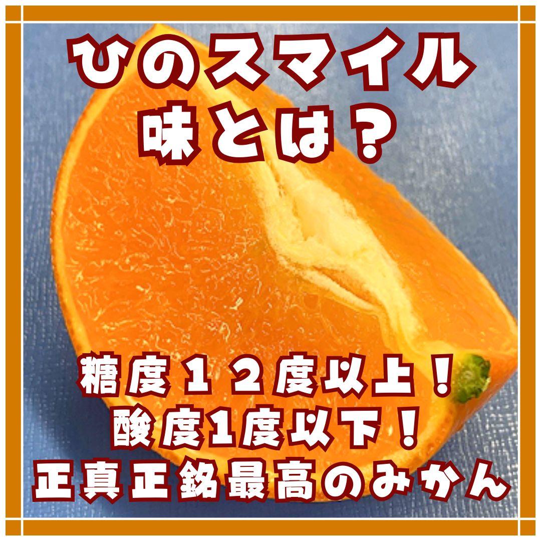 熊本みかん　熊本EC12 ひのスマイル　3キロ　バラ詰め家庭用　メルカリショップ