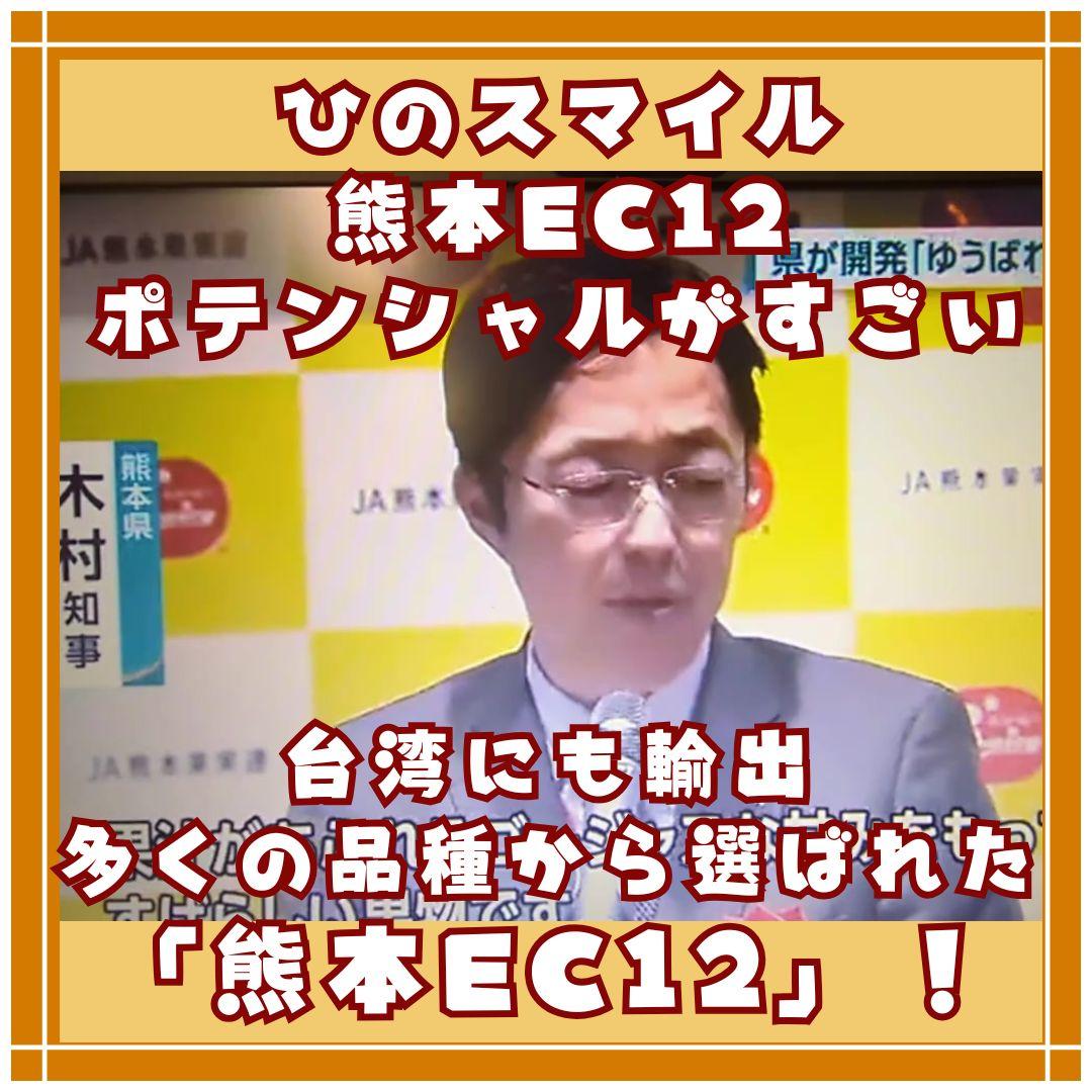 熊本みかん　熊本EC12 ひのスマイル　3キロ　バラ詰め家庭用　メルカリショップ
