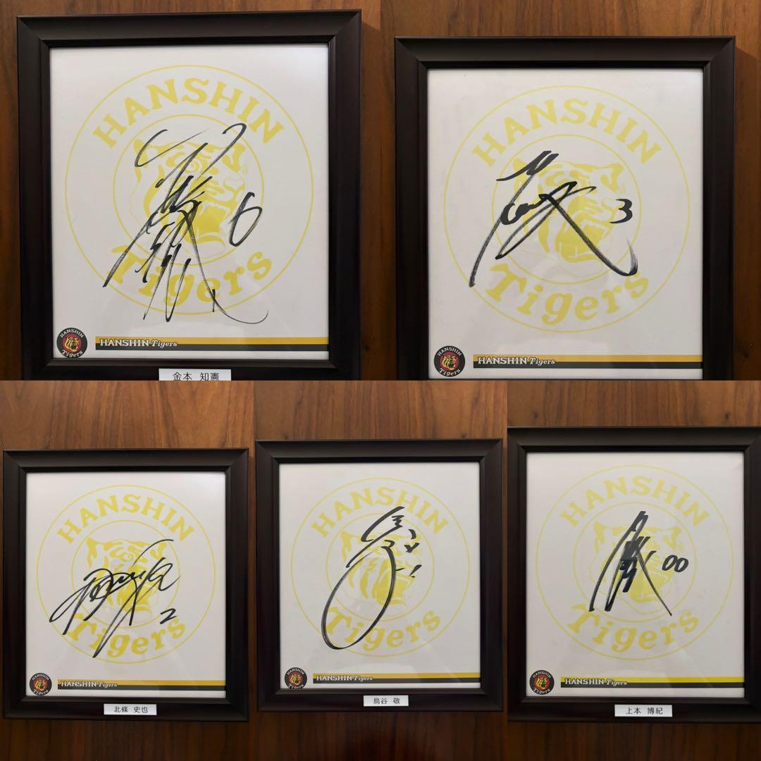 chika　 阪神タイガース選手　直筆サイン色紙23枚セット