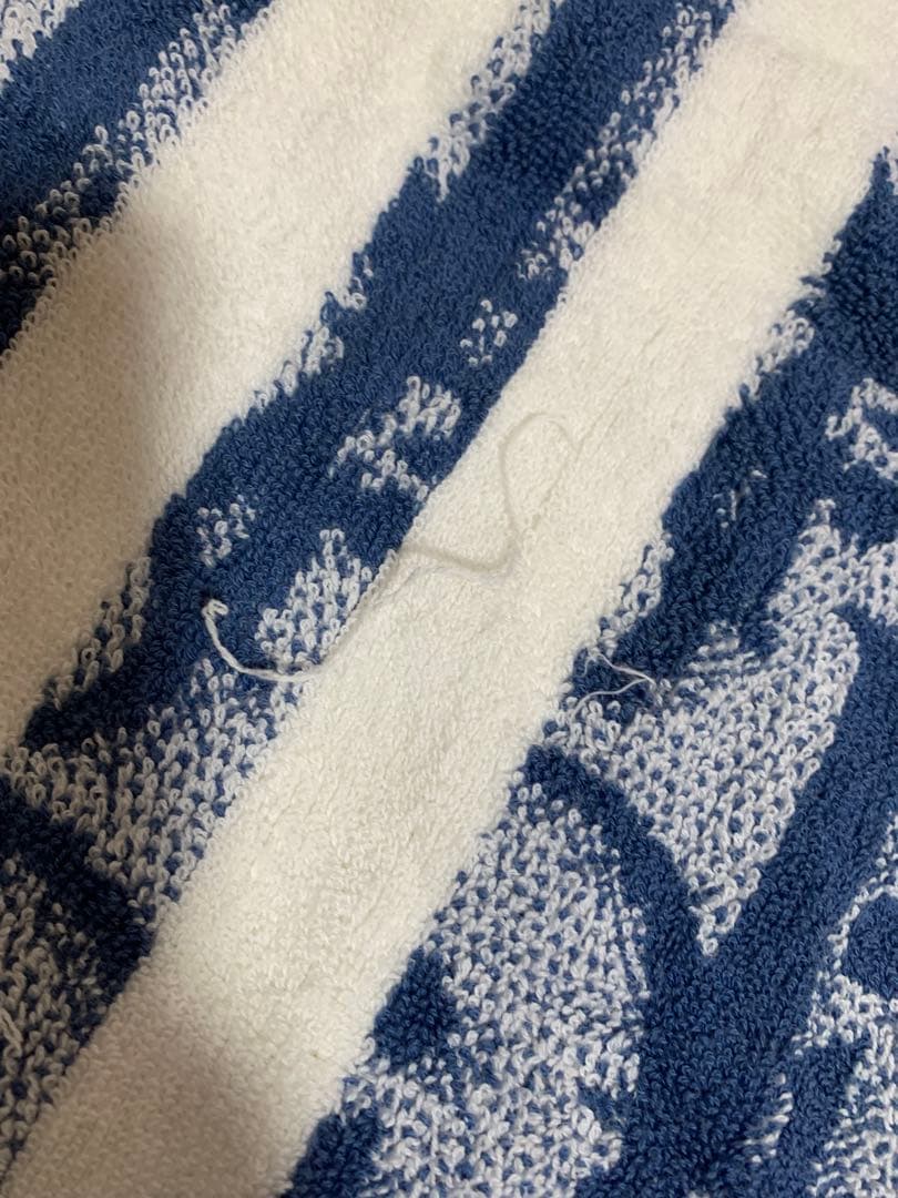 Dior トロッター柄 バスタオル