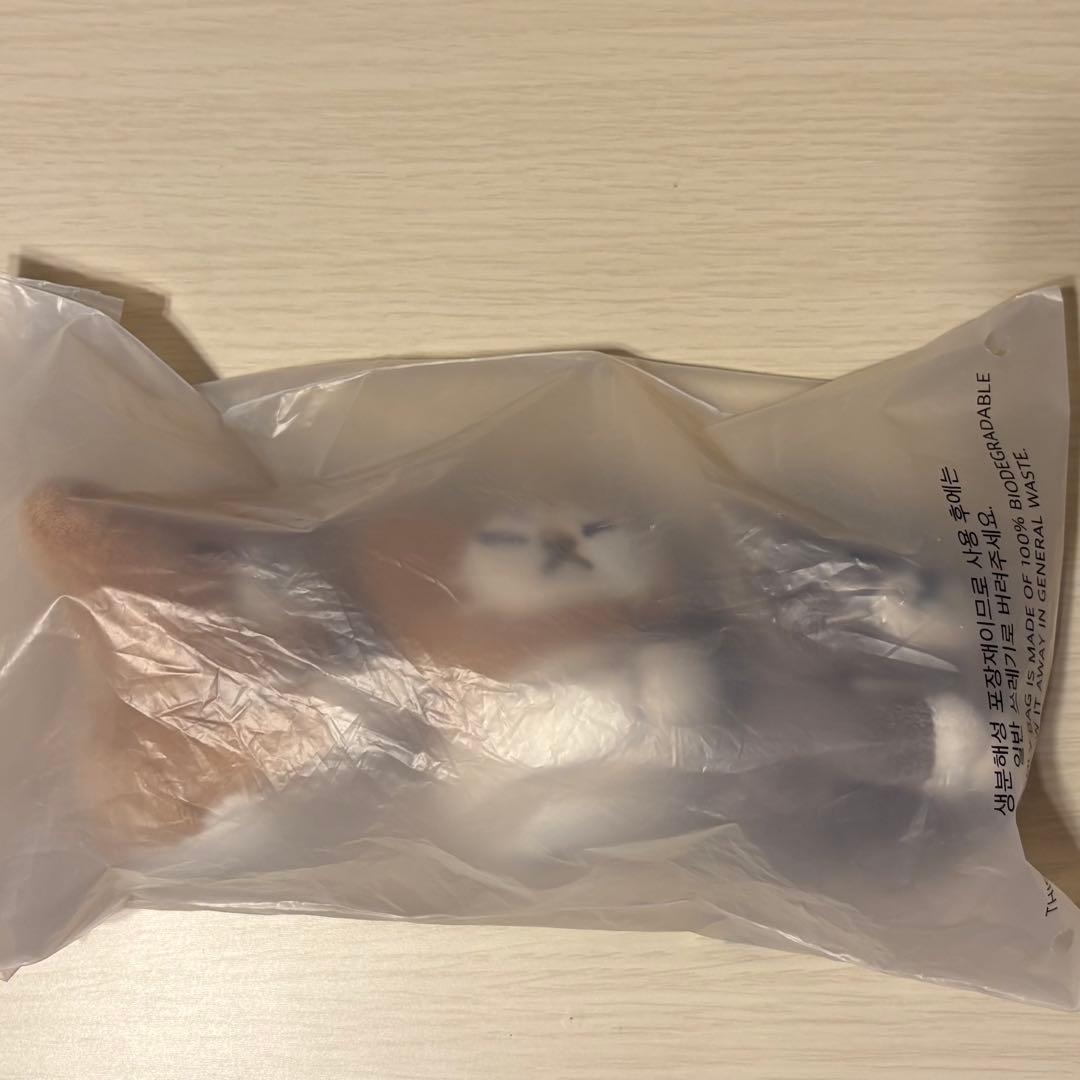 stray kids スキズ メンプロ リノ スンドゥンドリ キーリング