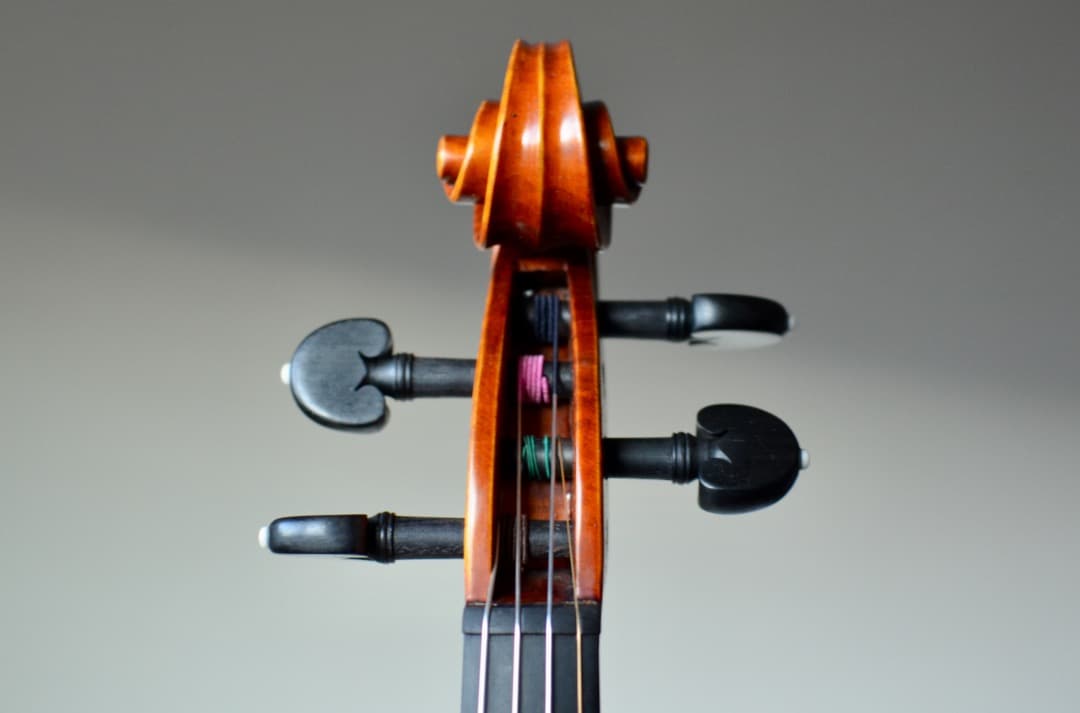 【最上位 新品】Gliga Vasile Maestro バイオリン 4/4