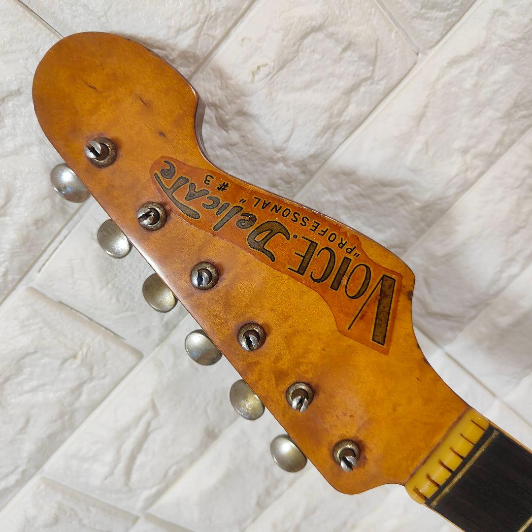 【希少】VOICE DELICATE PROFESSONAL #3 ビンテージ