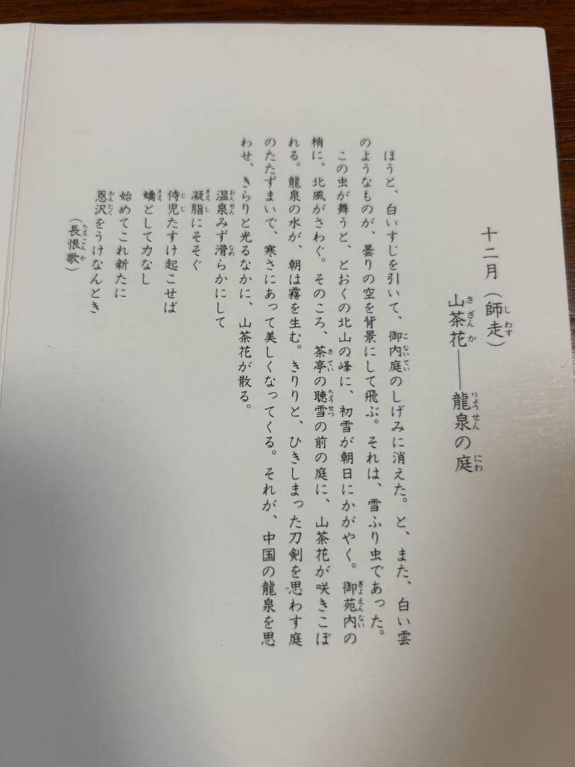 136桑野むつ子 京都 御所の花十二ヶ月【12月山茶花】抹茶椀・和陶皿 しおり付