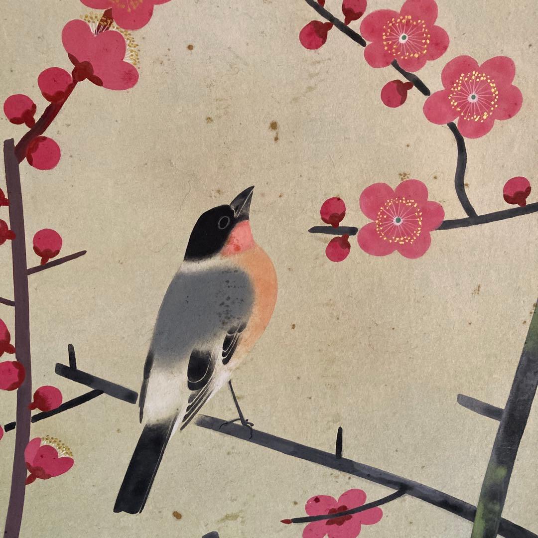 金島桂華「梅」38.4×45cm 2重箱　箱書き　紙本採色　豪華軸装　芸術院会員