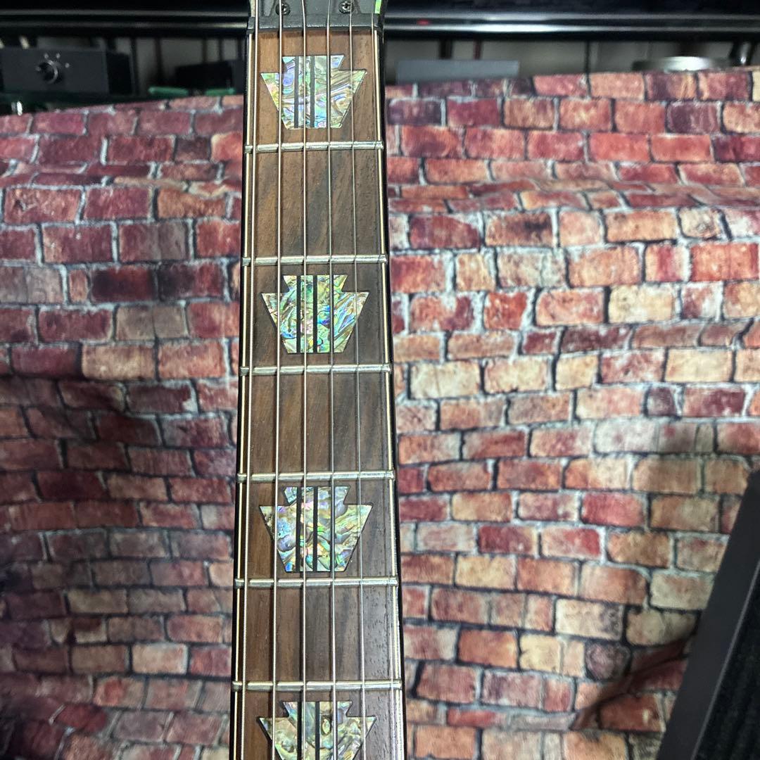 シャーベルエレキギターDS-1