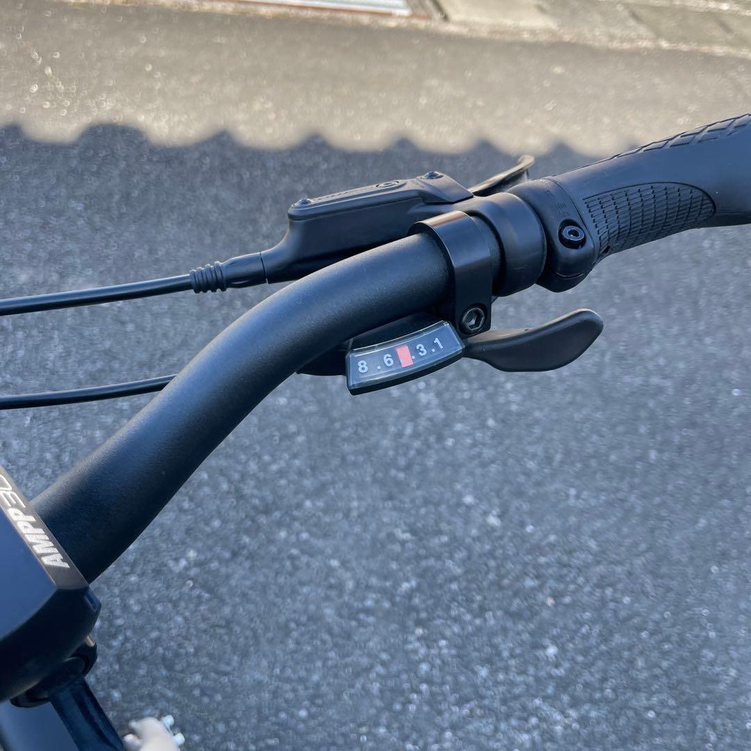 tern shorthaul ターン ショートホール 20インチ極美車 送料無料