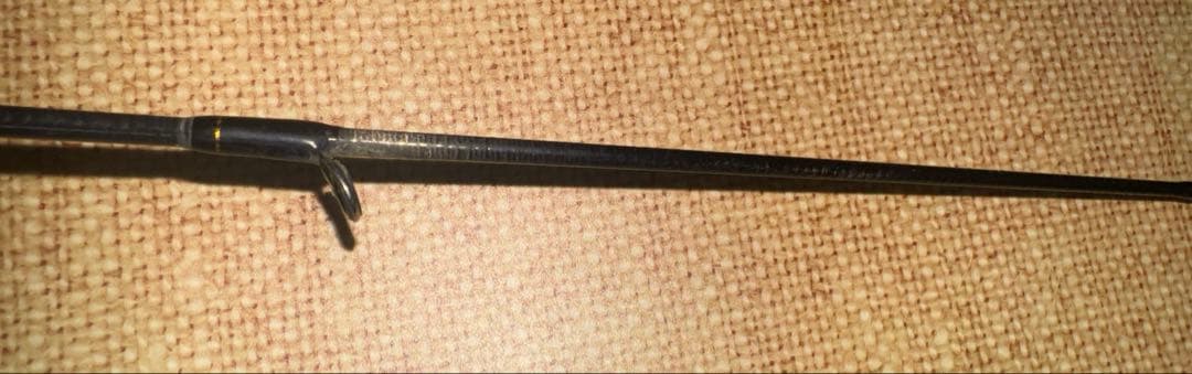 ダイワ　シーバス　ロッド