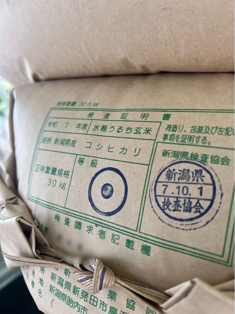 【令和7年産】【一等米】新潟県産従来品種コシヒカリ精米(白米)10kg B①