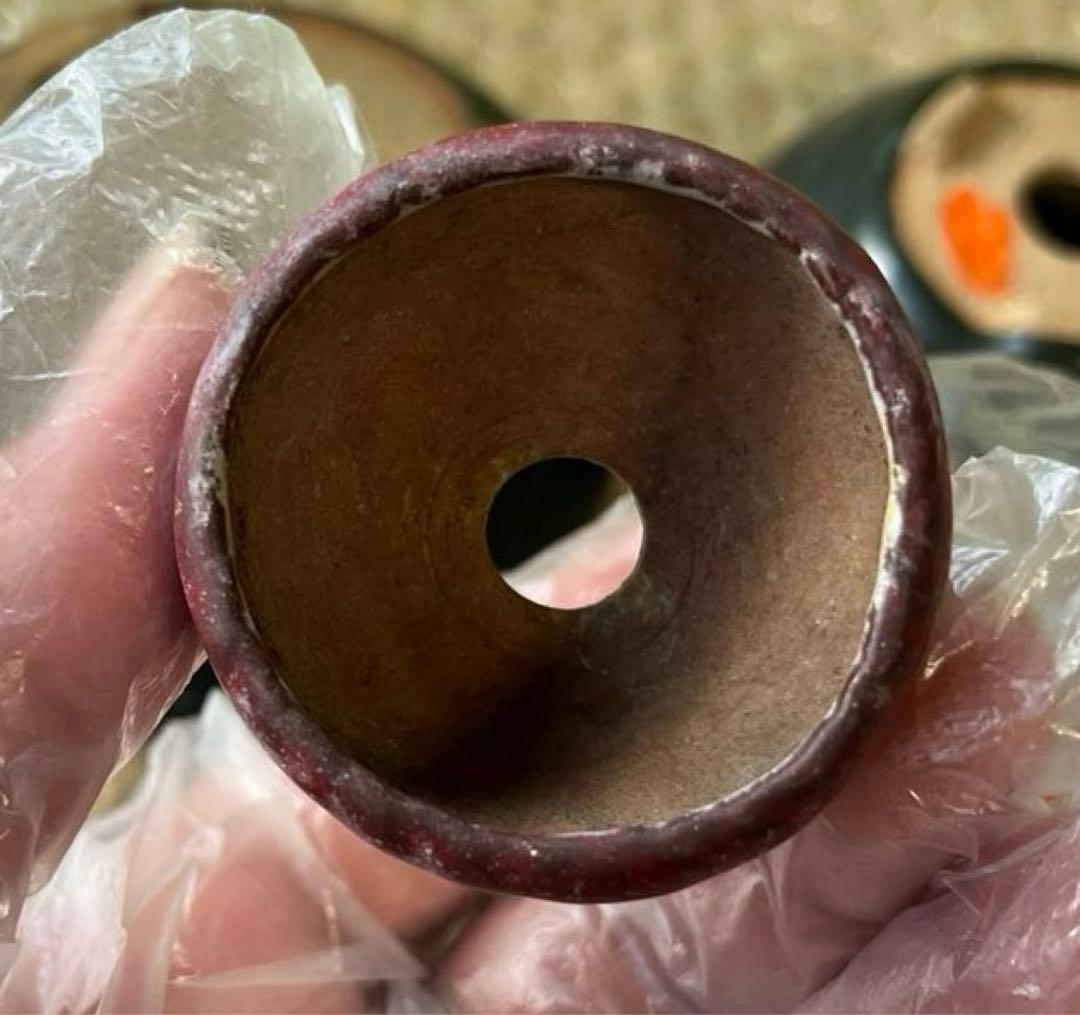 松寿　小品　盆栽鉢　レトロ　5個セット　(A5)