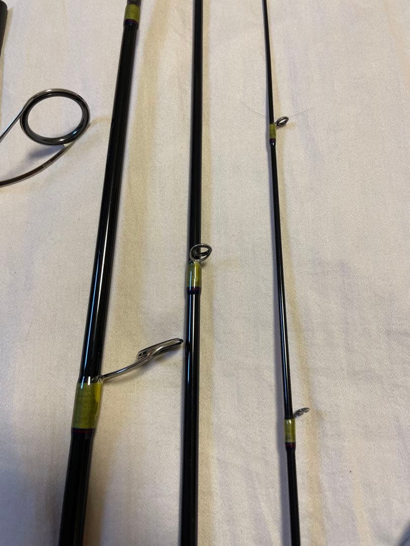 フィンチ　カナリア　95M