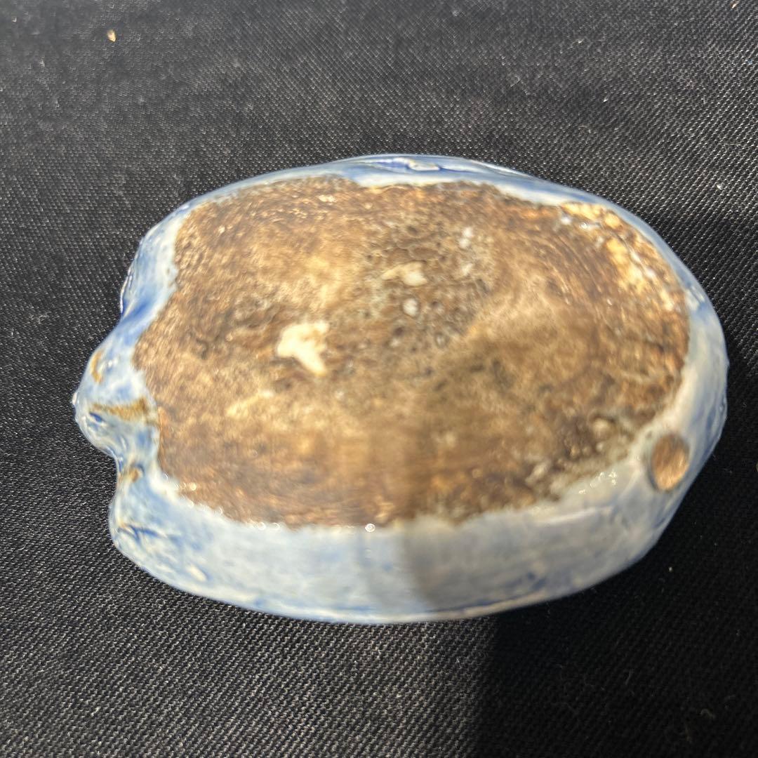 李朝　青磁　亀甲船　水滴　希少品