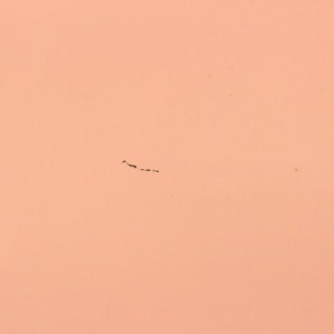 ◇未開栓 ヴーヴ・クリコ ローズラベル フリッジ缶箱 シャンパン 750ml