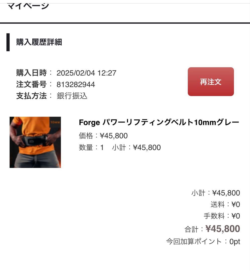 sbd フォージ 10mm ベルト Mサイズ