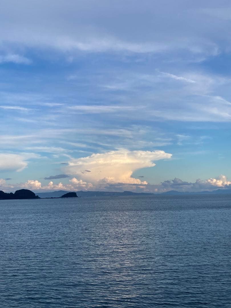 じゅん様　ニホンミツバチ生ハチミツ　1120g✖️2本