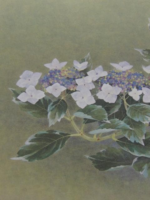 藤原敏行、【額紫陽花】、希少な額装用画集より、新品額装付