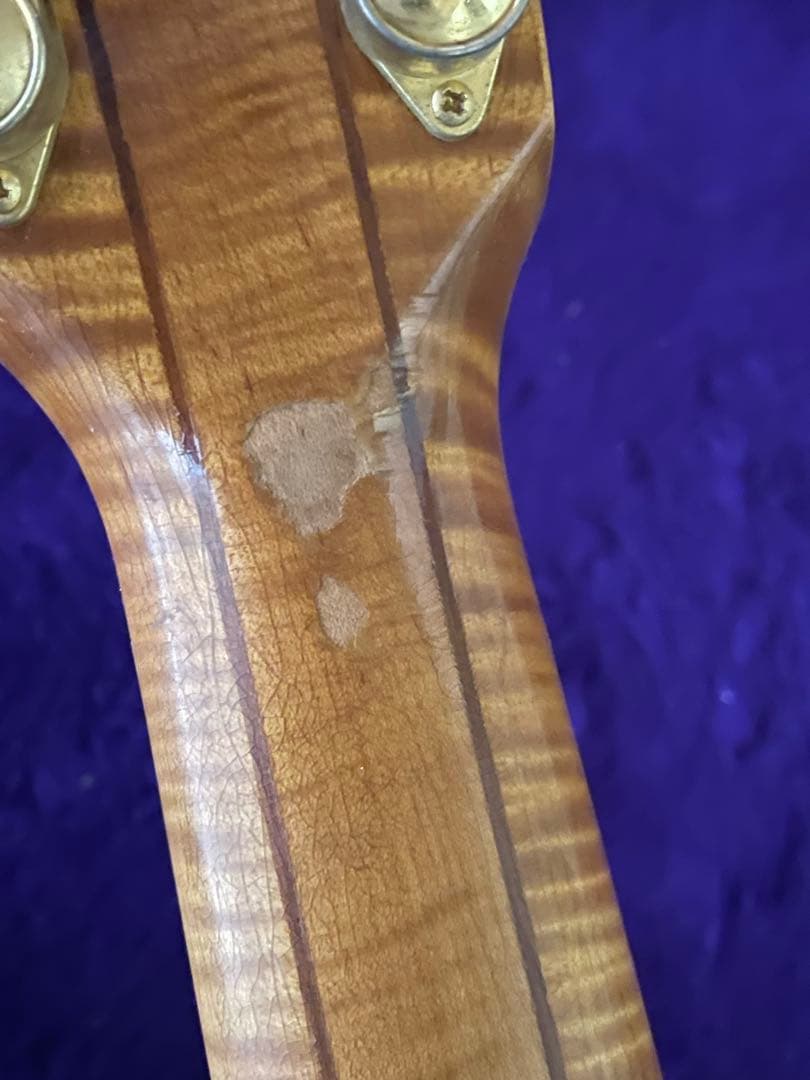 Gibson EC-30 BluesKingElectro エレアコ　アコギ