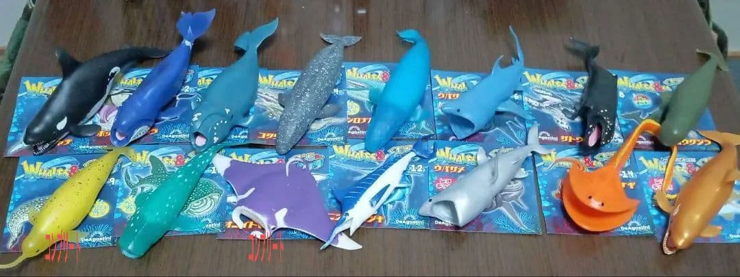 クジラアンドコー コンプリート