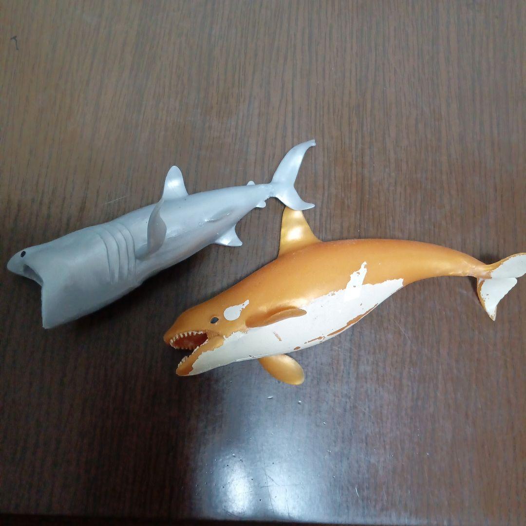 クジラアンドコー コンプリート