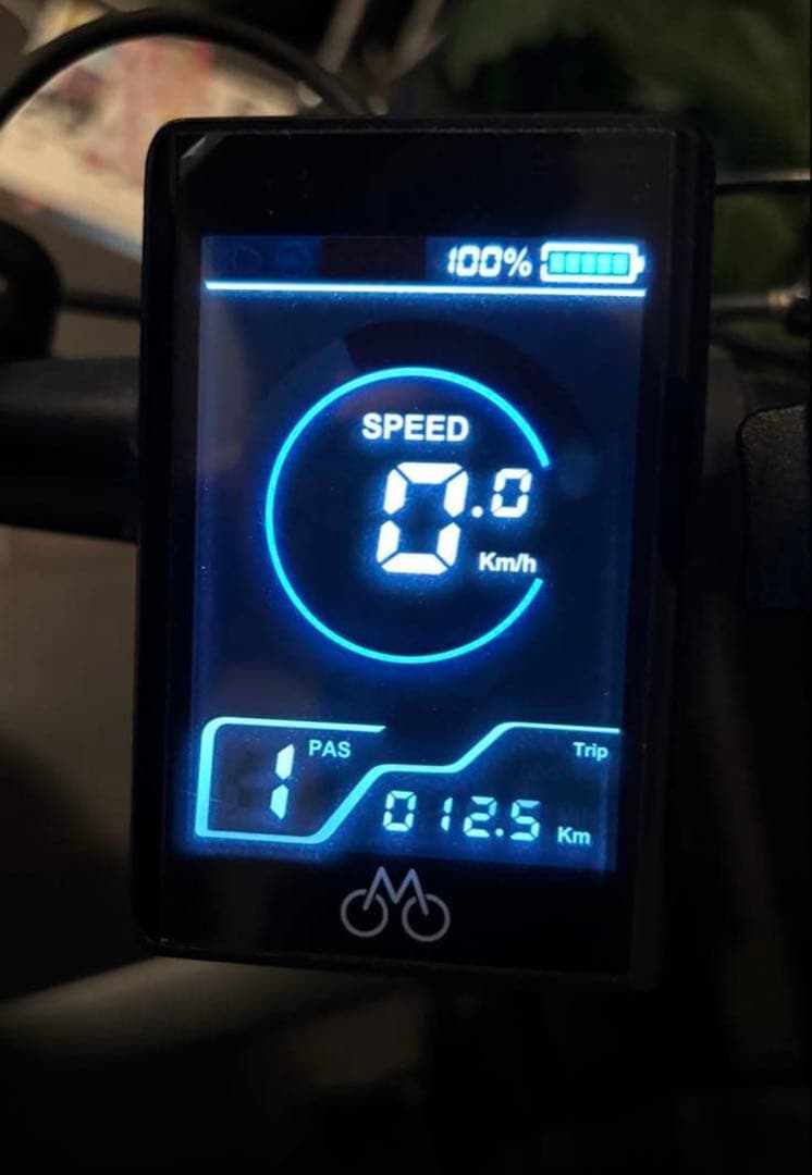 「yuuuk」MATE CITY 走行距離12.5km