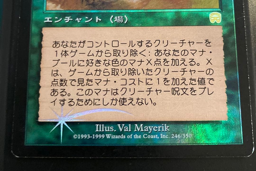 MTG 食物連鎖/Food Chain MMQ レア　旧枠　Foil