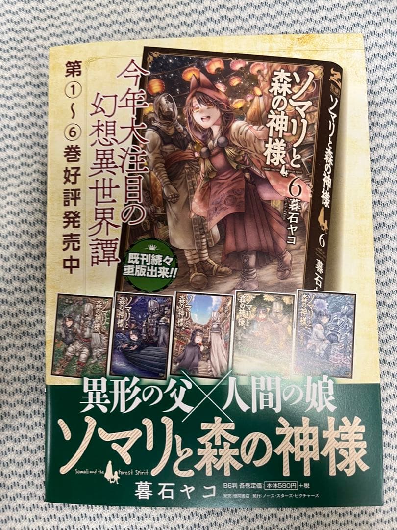 期間限定大幅値下げ！　ソマリと森の神様　キャンバスアート　サイン入り おまけ付き