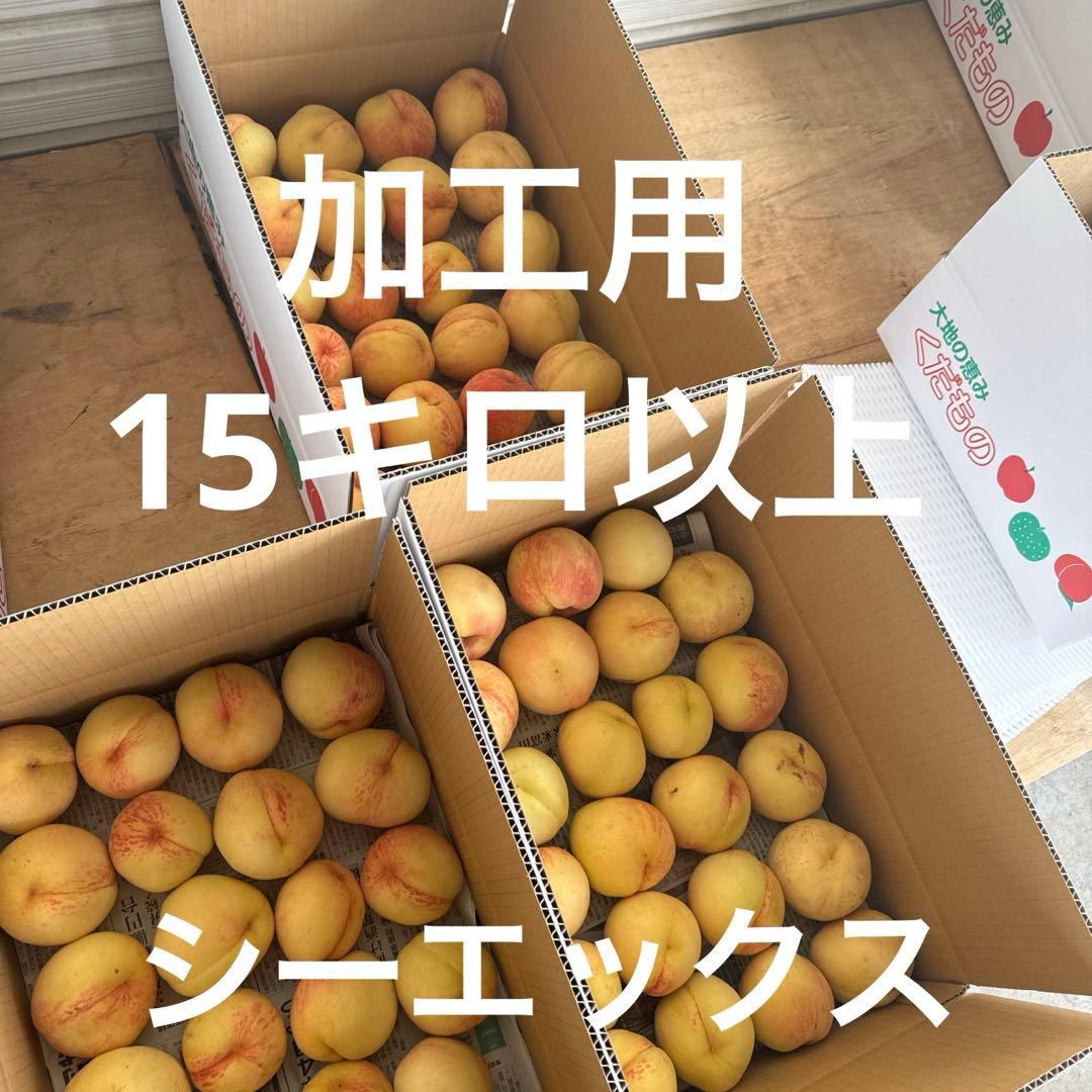 加工用　ほとんど小さい桃