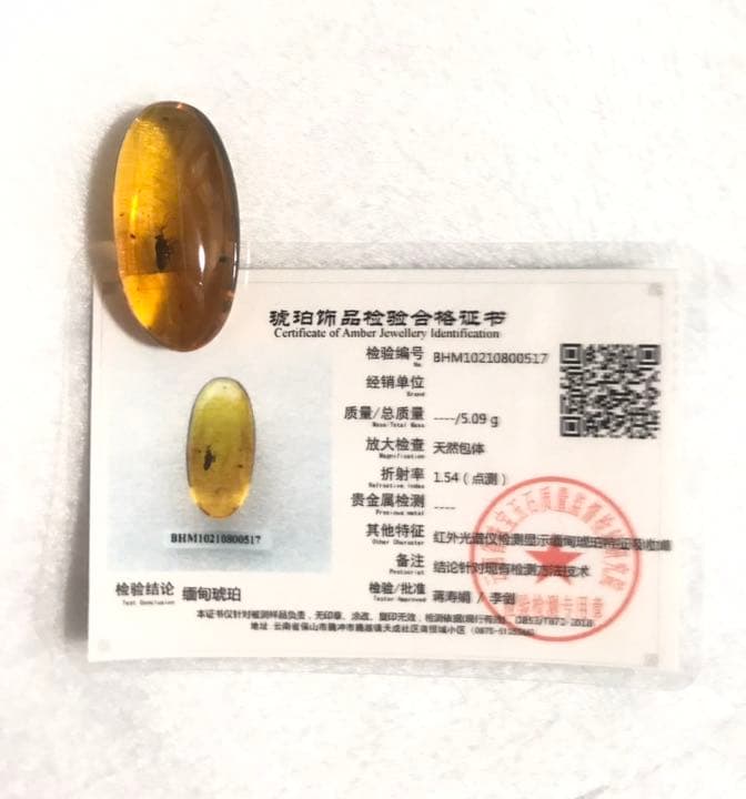 アンバー 琥珀 カメムシ 昆虫  コレクション 天然石 虫入り 価値上がる