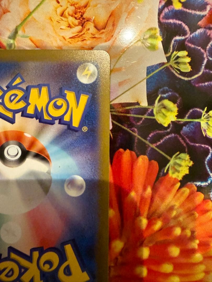 【美品】 ポケモンカードメガリザードンXex SAR 110/080