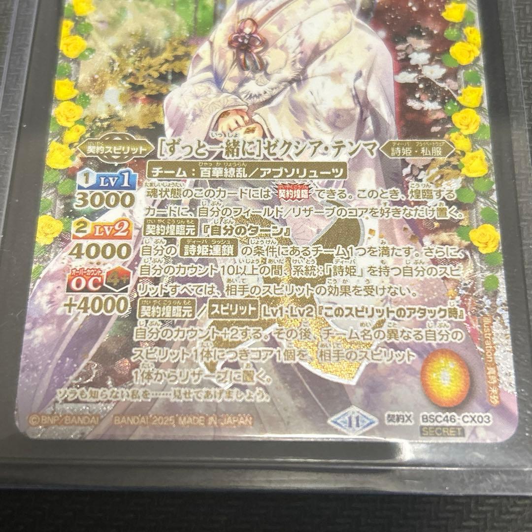 【ずっと一緒に】ゼクシア・テンマ シークレット