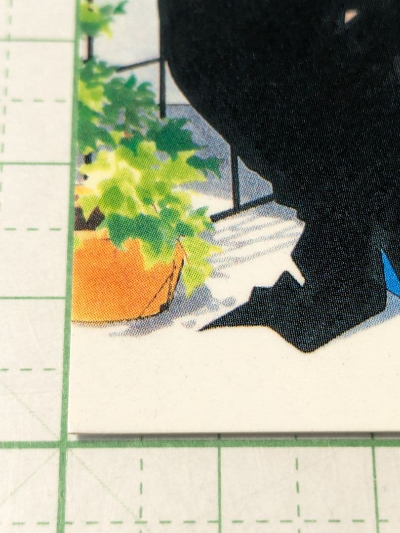 美品　闇の末裔　花とゆめ　白泉社　都筑麻斗　壬生織也　カード　レトロ　当時物