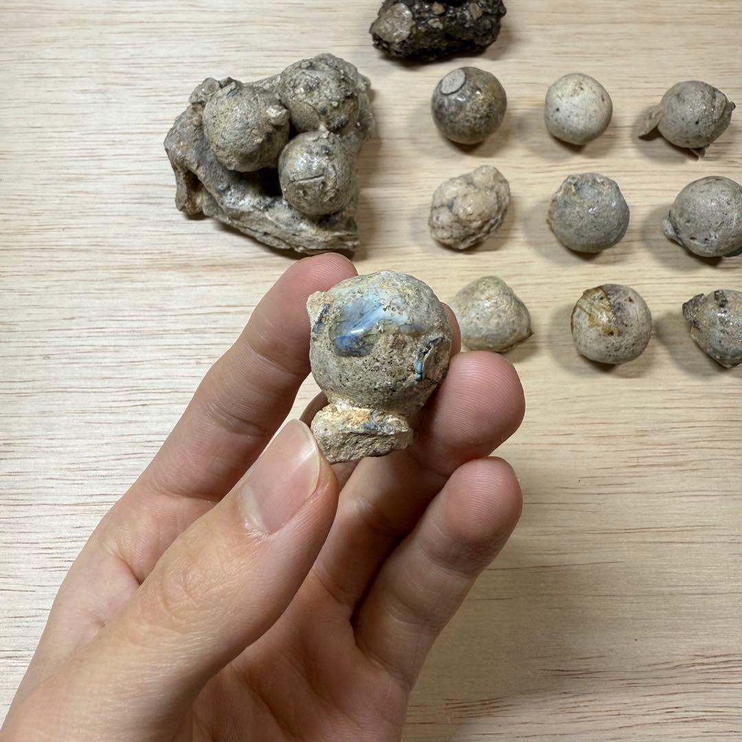 古瀬戸 陶丸 鎌倉時代 室町時代 陶片 発掘品 古常滑 古美濃 古美術 骨董品