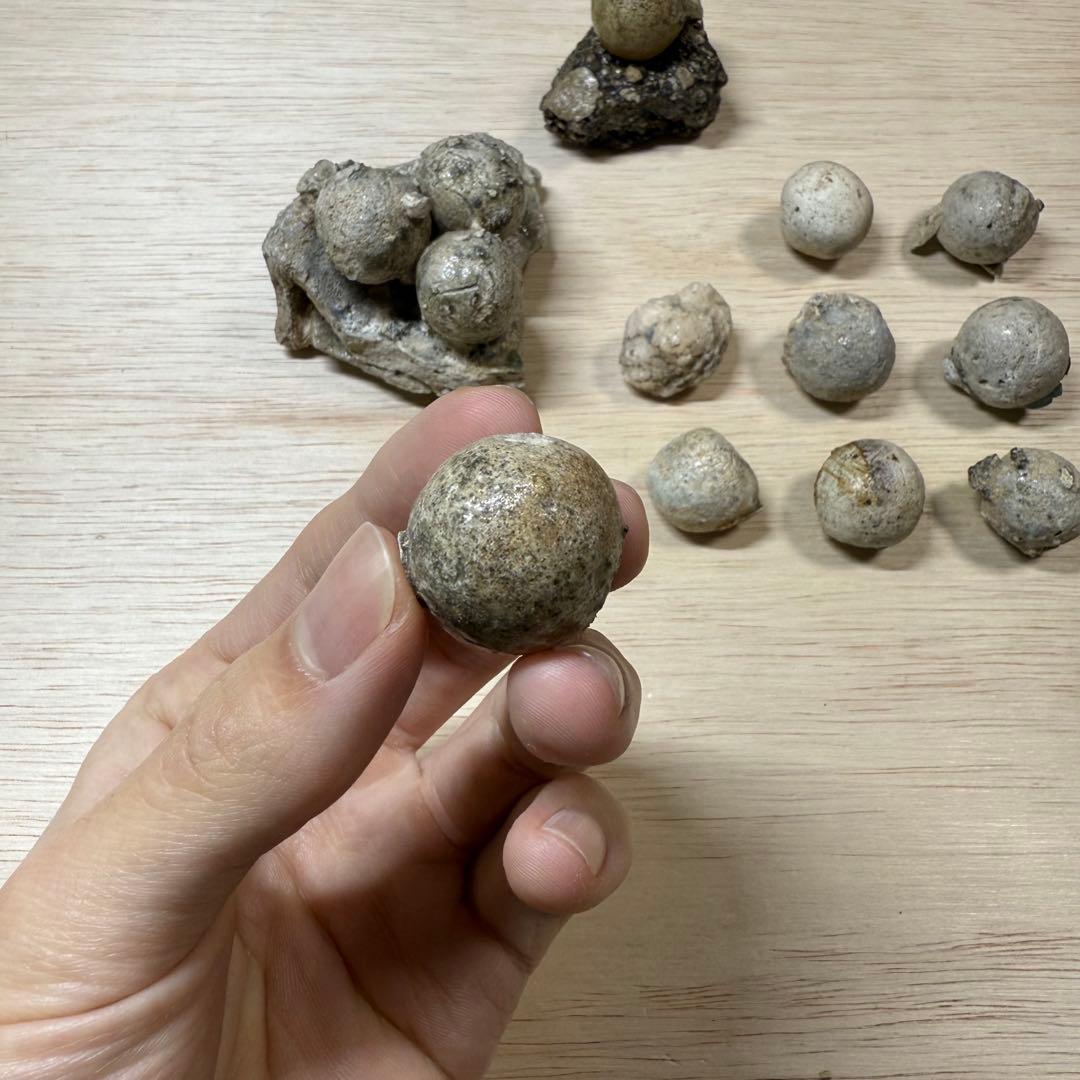 古瀬戸 陶丸 鎌倉時代 室町時代 陶片 発掘品 古常滑 古美濃 古美術 骨董品